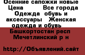 Осенние сапожки новые › Цена ­ 600 - Все города Одежда, обувь и аксессуары » Женская одежда и обувь   . Башкортостан респ.,Мечетлинский р-н